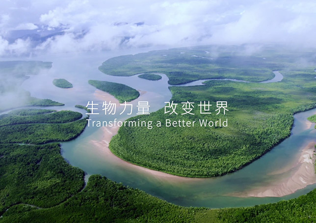 新利luck18品牌宣传片